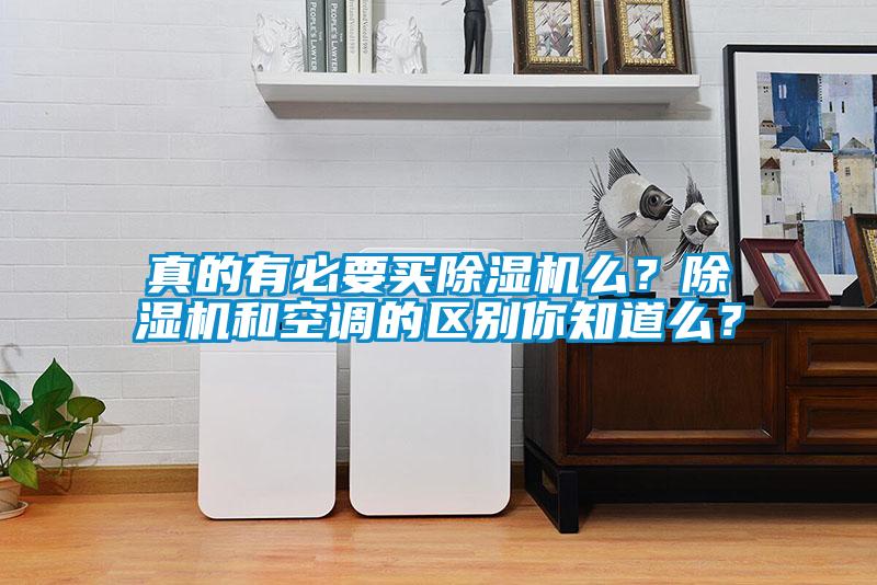 真的有必要買除濕機(jī)么？除濕機(jī)和空調(diào)的區(qū)別你知道么？