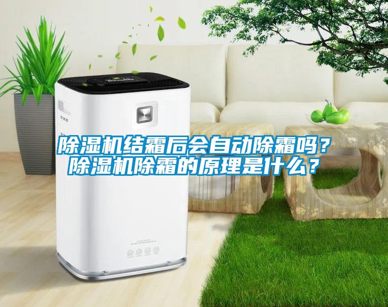 除濕機(jī)結(jié)霜后會(huì)自動(dòng)除霜嗎?除濕機(jī)除霜的原理是什么?