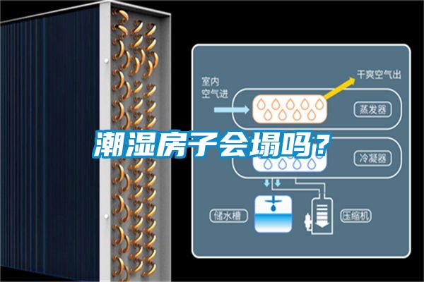 潮濕房子會(huì)塌嗎？