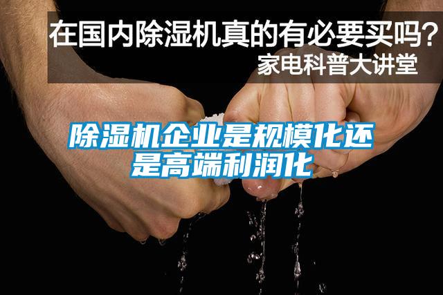 除濕機(jī)企業(yè)是規(guī)模化還是高端利潤(rùn)化