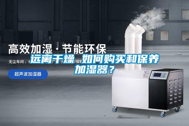 遠離干燥 如何購買和保養(yǎng)加濕器？