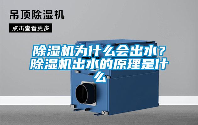 除濕機為什么會出水？除濕機出水的原理是什么