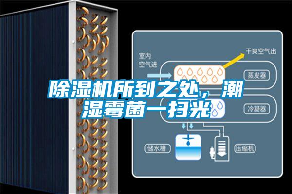 除濕機所到之處，潮濕霉菌一掃光