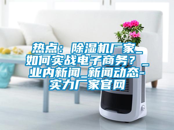 熱點(diǎn)：除濕機(jī)廠家_如何實(shí)戰(zhàn)電子商務(wù)？_業(yè)內(nèi)新聞_新聞動態(tài)-實(shí)力廠家官網(wǎng)