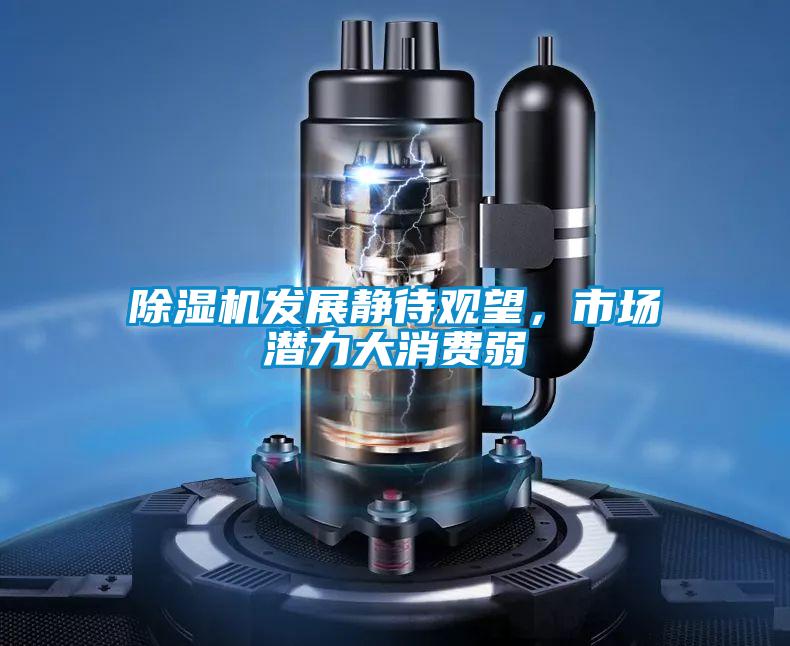 除濕機(jī)發(fā)展靜待觀望，市場(chǎng)潛力大消費(fèi)弱