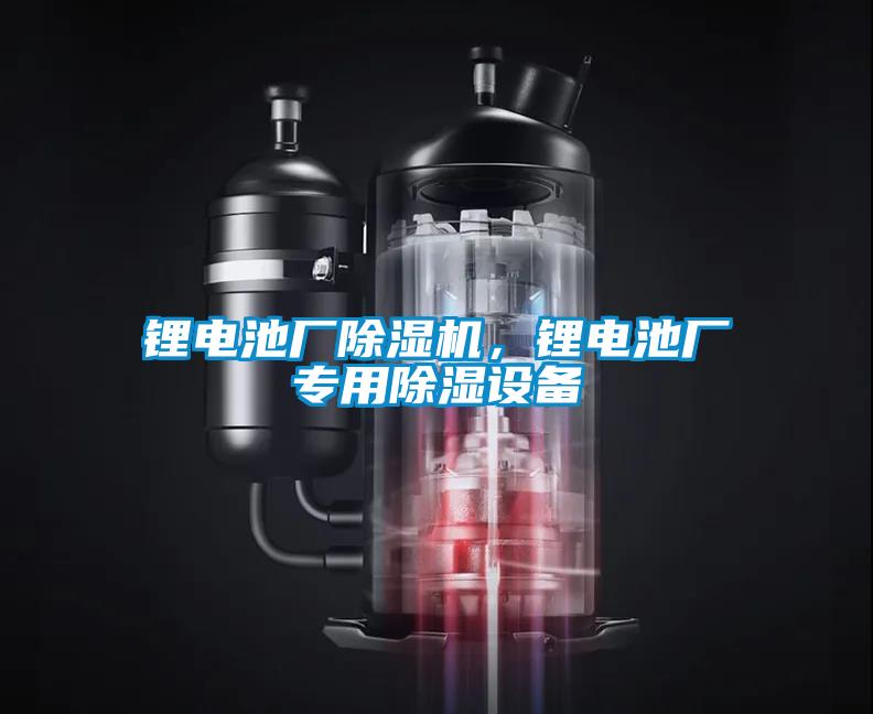 鋰電池廠除濕機(jī)，鋰電池廠專用除濕設(shè)備