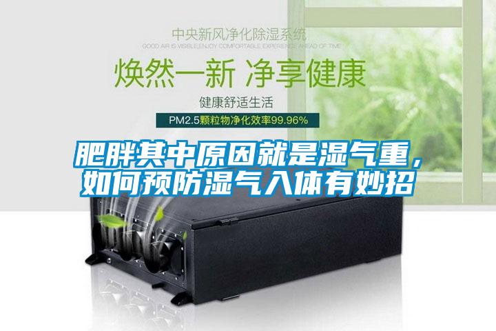 肥胖其中原因就是濕氣重，如何預(yù)防濕氣入體有妙招