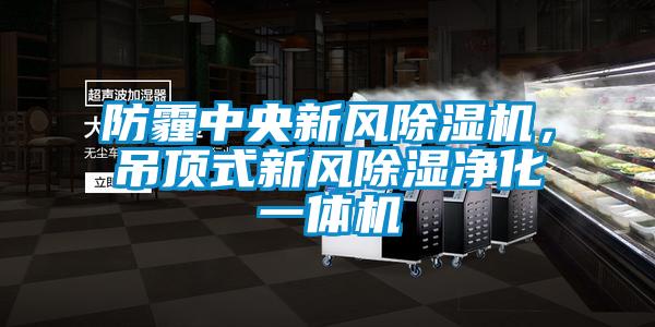 防霾中央新風除濕機，吊頂式新風除濕凈化一體機