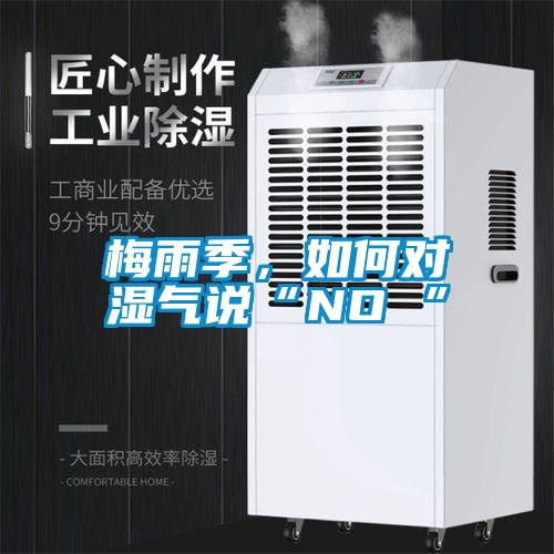 梅雨季，如何對濕氣說“NO ”