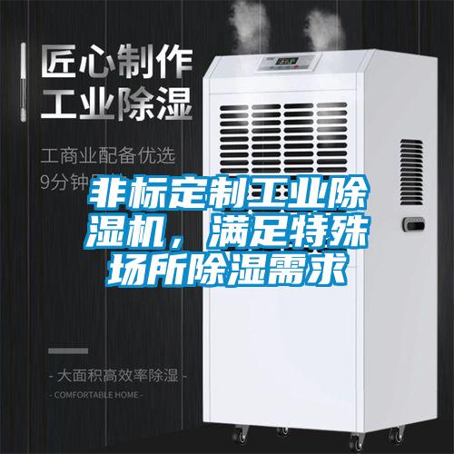 非標(biāo)定制工業(yè)除濕機，滿足特殊場所除濕需求