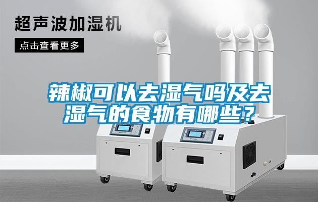 辣椒可以去濕氣嗎及去濕氣的食物有哪些？