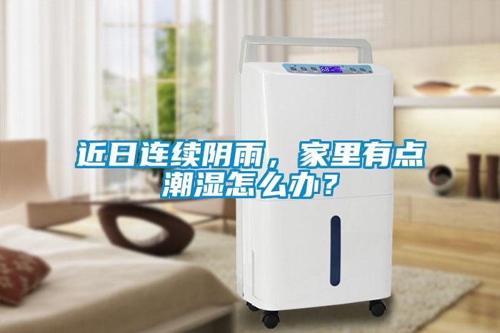 近日連續(xù)陰雨，家里有點潮濕怎么辦？