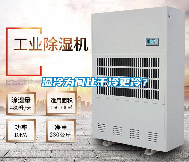 濕冷為何比干冷更冷？