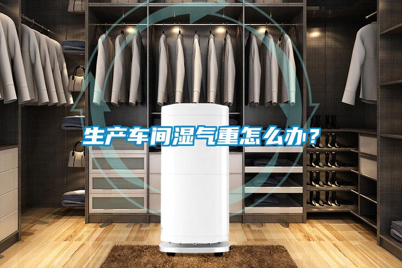 生產(chǎn)車間濕氣重怎么辦？