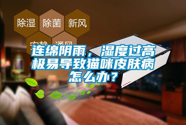 連綿陰雨，濕度過高極易導(dǎo)致貓咪皮膚病怎么辦？