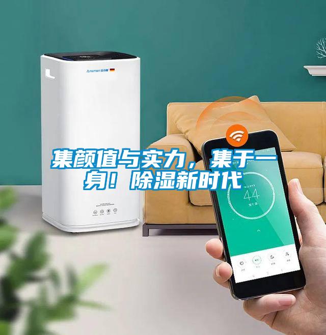 集顏值與實力，集于一身！除濕新時代