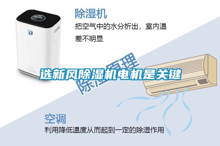 選新風除濕機電機是關(guān)鍵