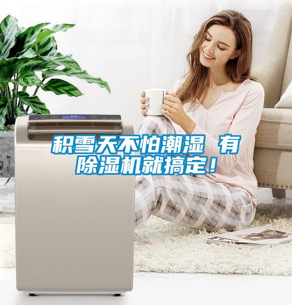 積雪天不怕潮濕 有除濕機就搞定！