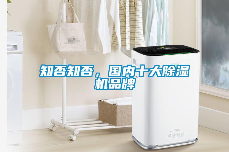 知否知否，國(guó)內(nèi)十大除濕機(jī)品牌