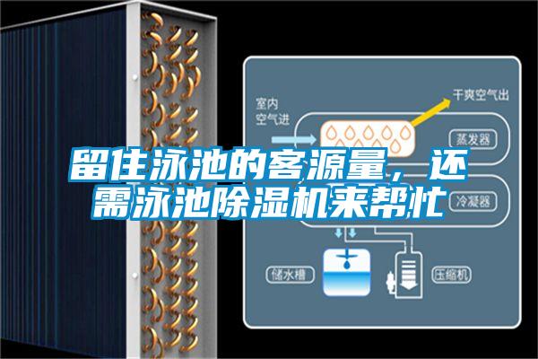 留住泳池的客源量，還需泳池除濕機來幫忙
