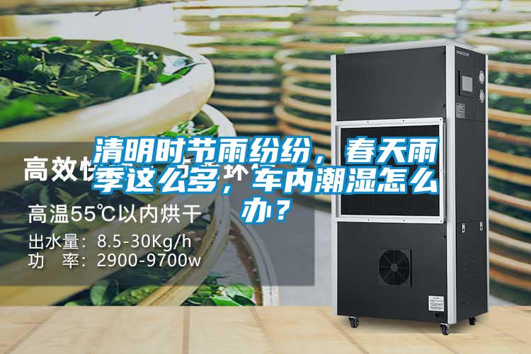 清明時(shí)節(jié)雨紛紛，春天雨季這么多，車內(nèi)潮濕怎么辦？
