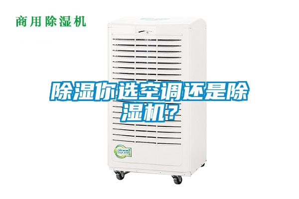 除濕你選空調(diào)還是除濕機？