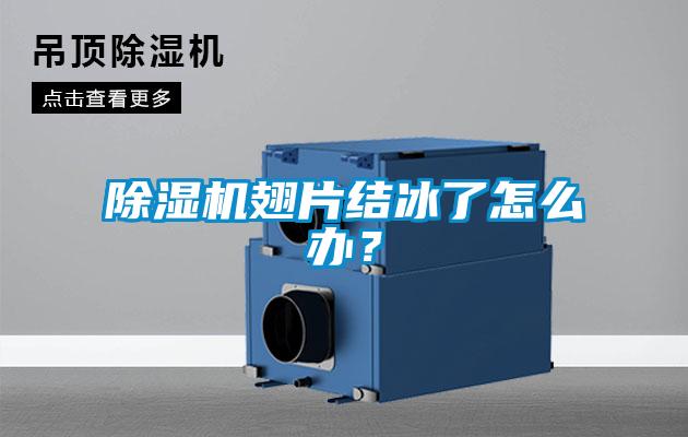 除濕機(jī)翅片結(jié)冰了怎么辦？