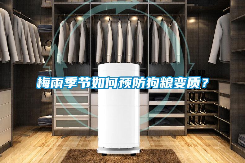 梅雨季節(jié)如何預防狗糧變質(zhì)？