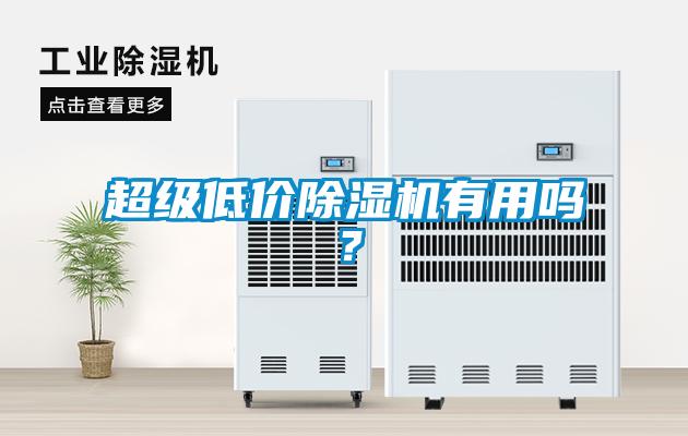 超級低價(jià)除濕機(jī)有用嗎？