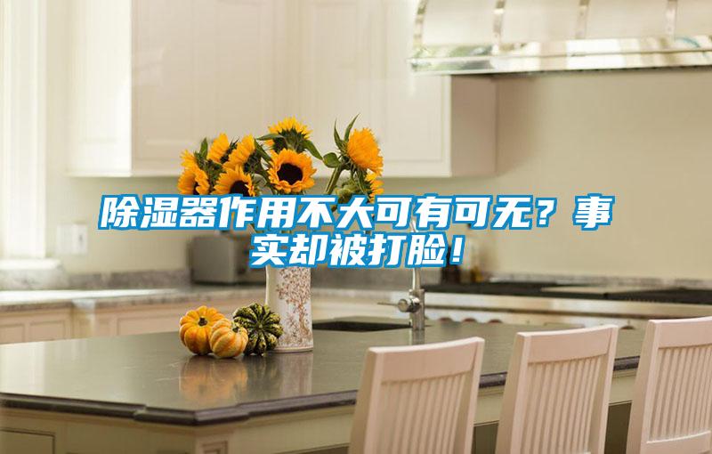 除濕器作用不大可有可無？事實(shí)卻被打臉！