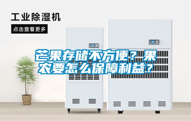 芒果存儲不方便？果農(nóng)要怎么保障利益？