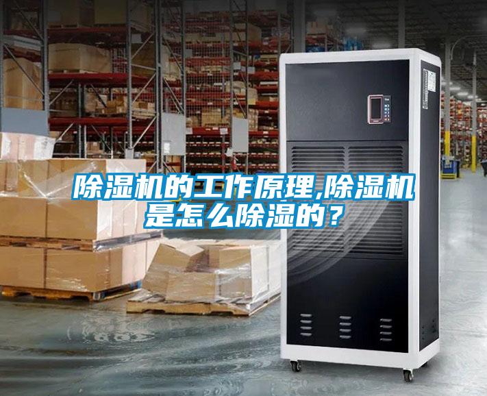 除濕機的工作原理,除濕機是怎么除濕的？