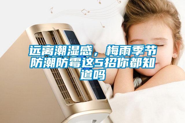 遠(yuǎn)離潮濕感，梅雨季節(jié)防潮防霉這5招你都知道嗎