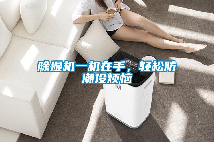 除濕機一機在手，輕松防潮沒煩惱