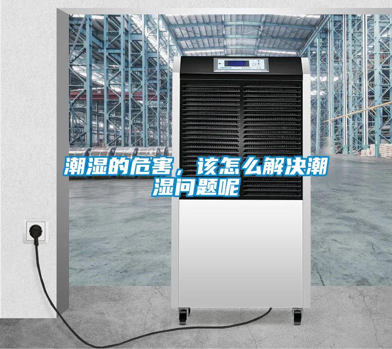 潮濕的危害，該怎么解決潮濕問題呢