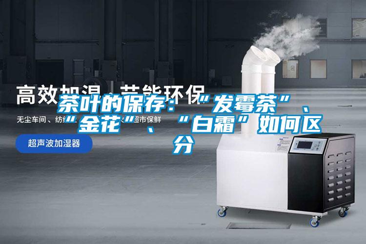 茶葉的保存：“發(fā)霉茶”、“金花”、“白霜”如何區(qū)分