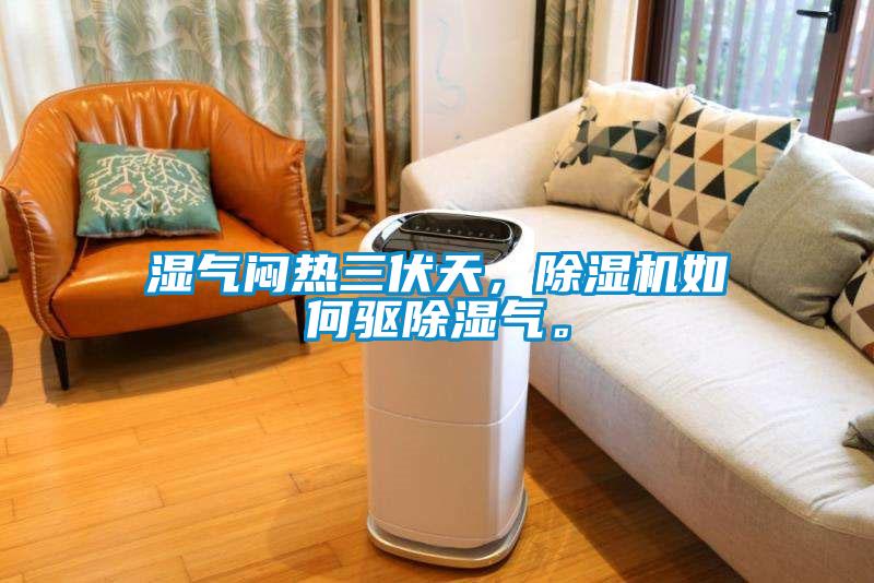 濕氣悶熱三伏天，除濕機(jī)如何驅(qū)除濕氣。