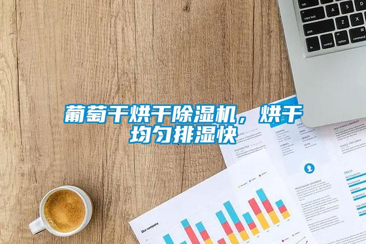 葡萄干烘干除濕機，烘干均勻排濕快