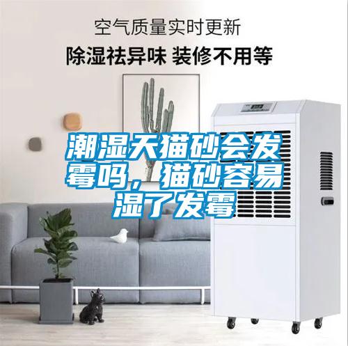潮濕天貓砂會發(fā)霉嗎，貓砂容易濕了發(fā)霉