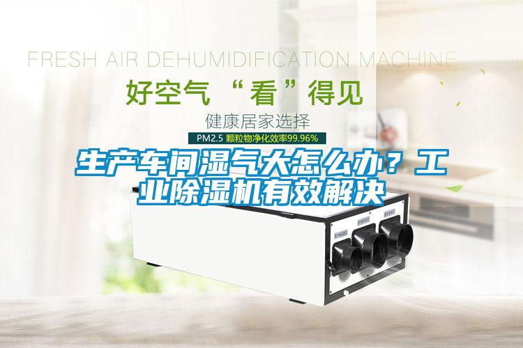生產(chǎn)車間濕氣大怎么辦？工業(yè)除濕機(jī)有效解決