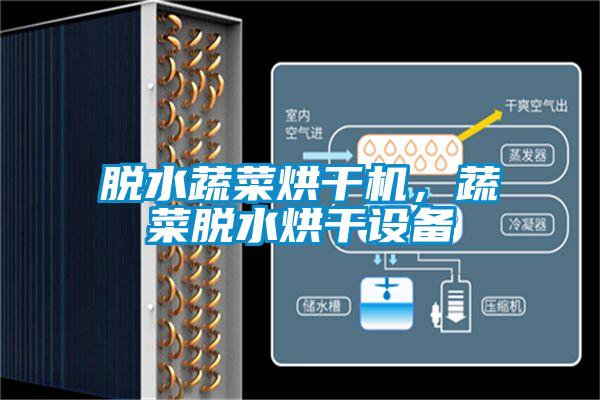 脫水蔬菜烘干機(jī)，蔬菜脫水烘干設(shè)備