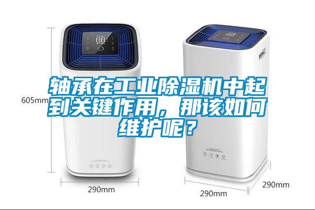 軸承在工業(yè)除濕機中起到關(guān)鍵作用，那該如何維護呢？