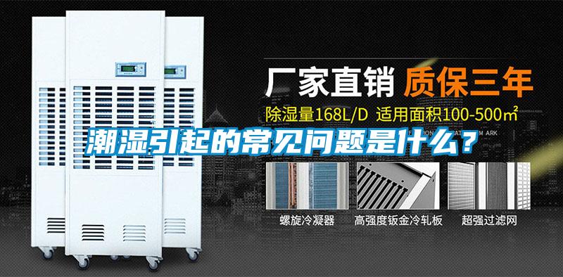潮濕引起的常見問(wèn)題是什么?