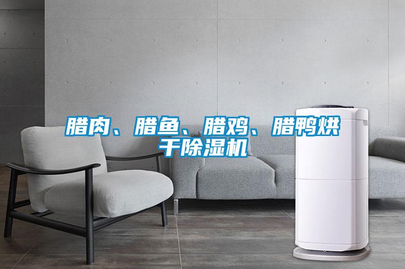 臘肉、臘魚、臘雞、臘鴨烘干除濕機