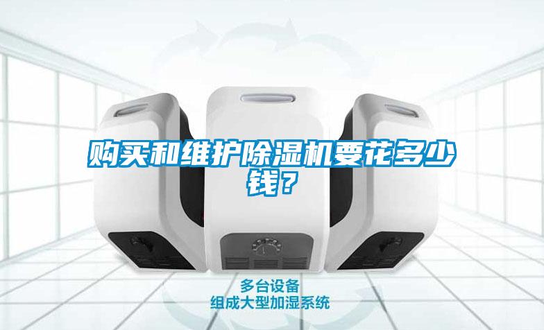 購(gòu)買和維護(hù)除濕機(jī)要花多少錢？