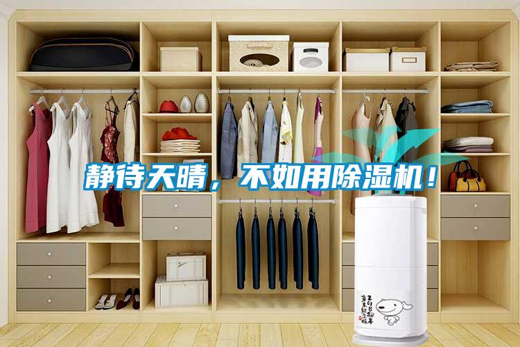 靜待天晴，不如用除濕機(jī)！