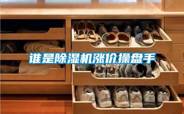 誰(shuí)是除濕機(jī)漲價(jià)操盤(pán)手
