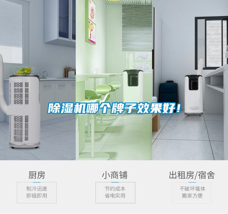 除濕機(jī)哪個牌子效果好！