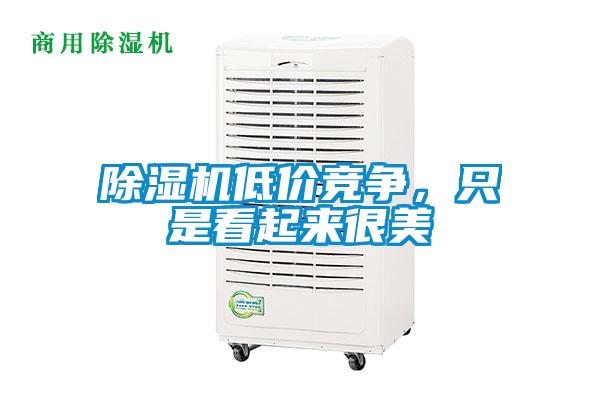 除濕機低價競爭，只是看起來很美