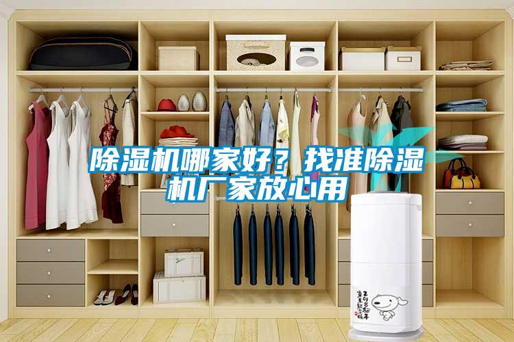 除濕機(jī)哪家好？找準(zhǔn)除濕機(jī)廠家放心用